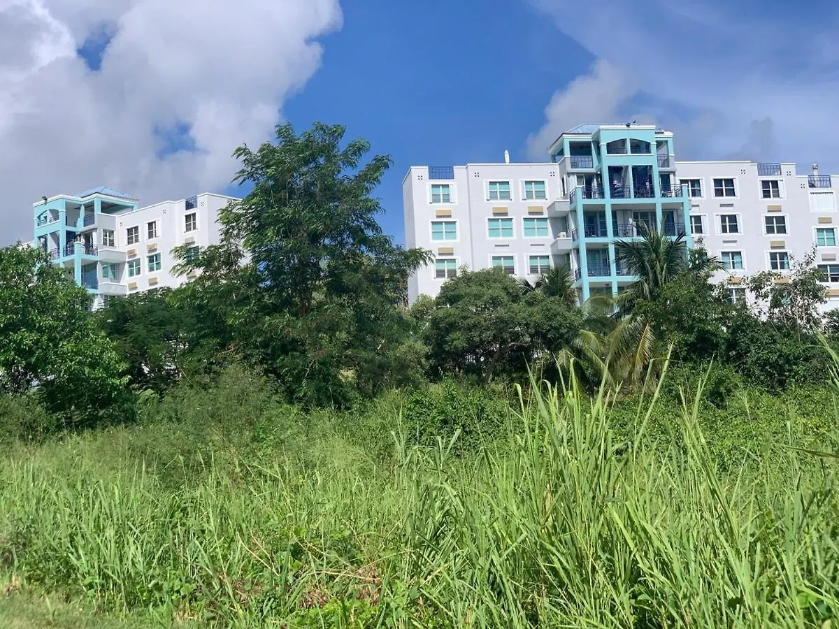 Amazing Ocean View, Close To Ferry Culebra Ceiba Apartment
