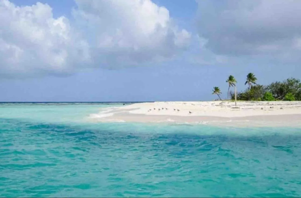 Amazing Ocean View, Close To Ferry Culebra Ceiba 0*,  Puerto Rico